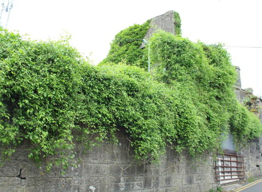 Galway, Galway City, H91V8K0 photo