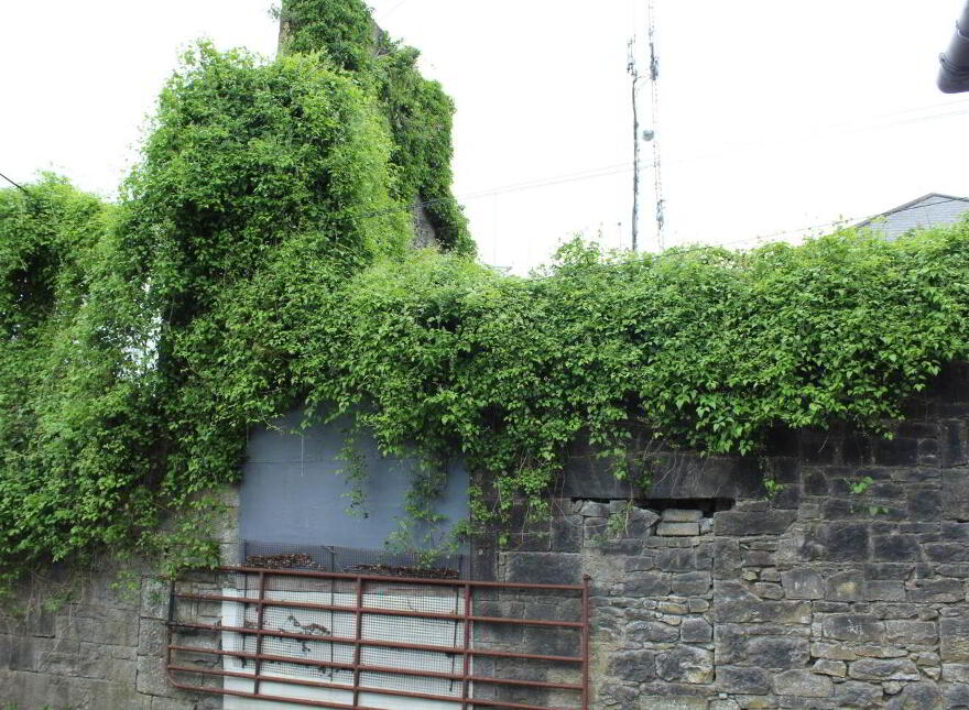 Galway, Galway City, H91V8K0