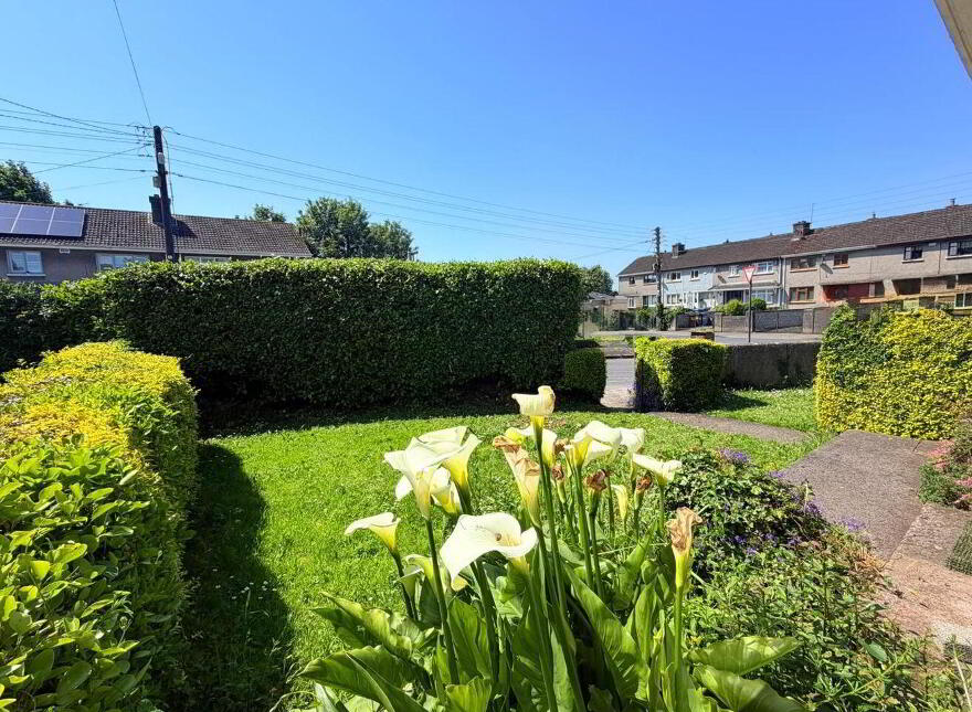 16 Marian Avenue, Roxboro Road, Janesboro, V94Y7NP