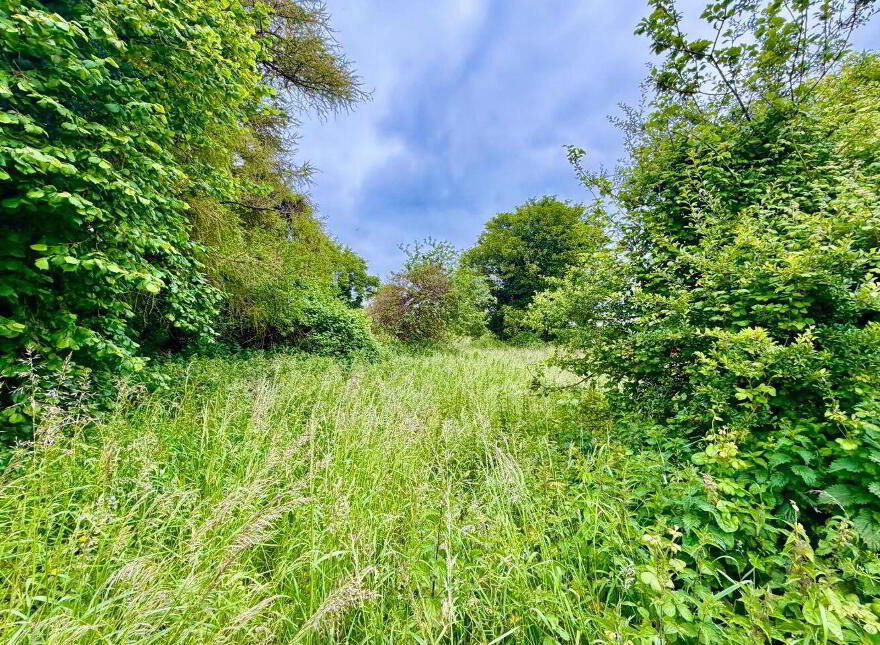 Chapel Road, Dromiskin, A91XR02