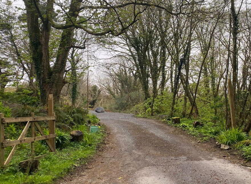 2.8 Acre Site At S @ Ringroe, Nohoval