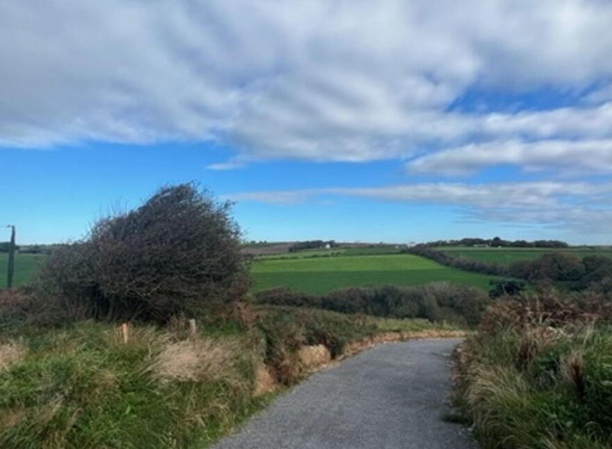 2.8 Acre Site At S @ Ringroe, Nohoval