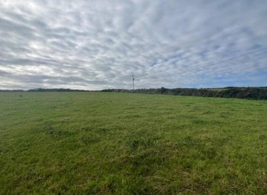 2.8 Acre Site At S @ Ringroe, Nohoval