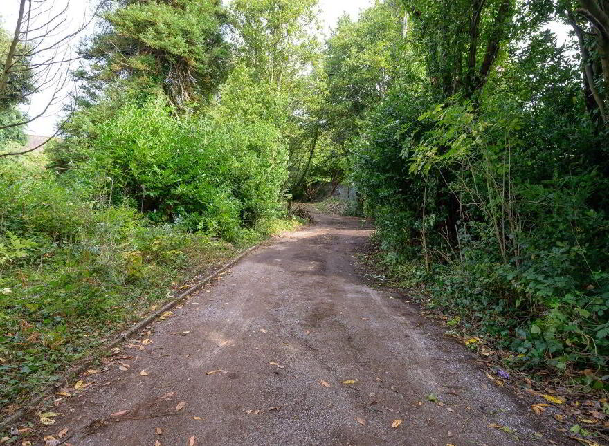 Springmount House, Sunday's Well Road, Sunday's Well, T23V6P9