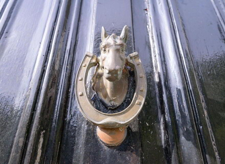 Springmount House, Sunday's Well Road, Sunday's Well, T23V6P9
