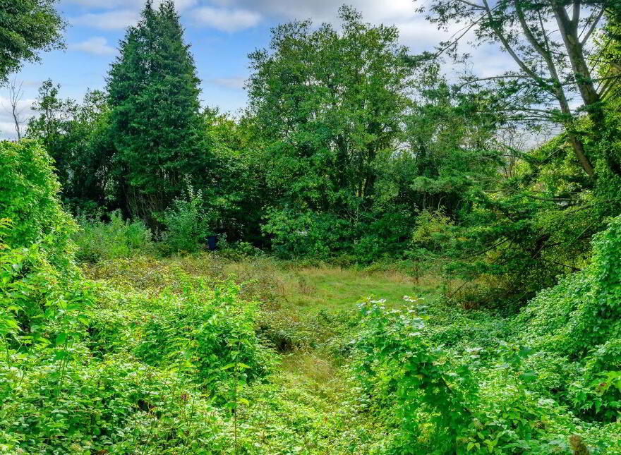 Springmount House, Sunday's Well Road, Sunday's Well, T23V6P9
