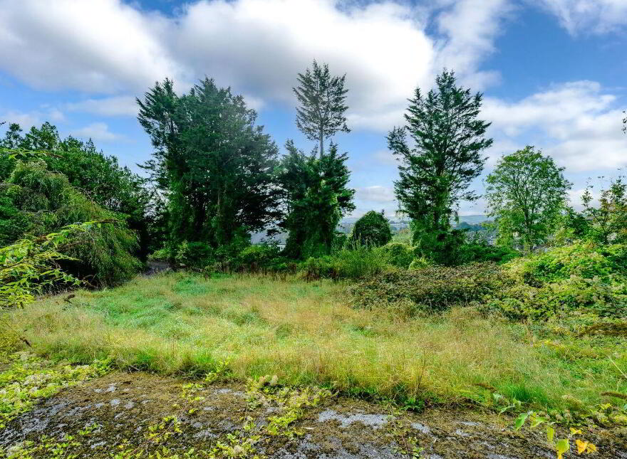 Springmount House, Sunday's Well Road, Sunday's Well, T23V6P9