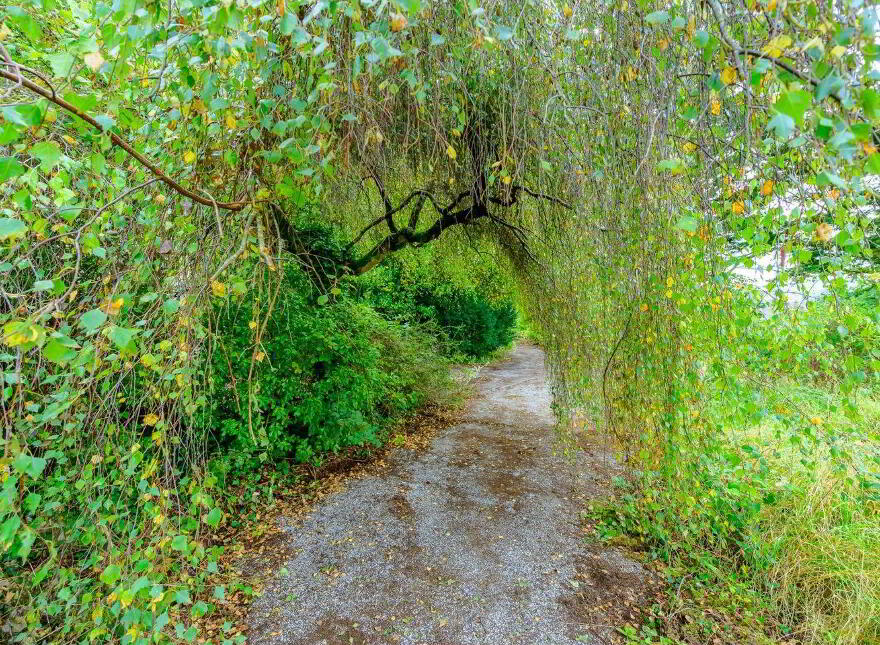 Springmount House, Sunday's Well Road, Sunday's Well, T23V6P9