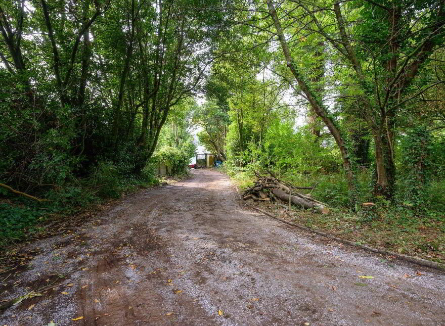 Springmount House, Sunday's Well Road, Sunday's Well, T23V6P9