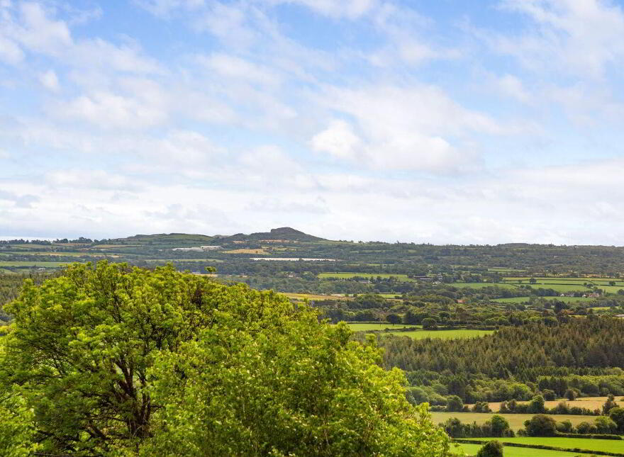 Glenogue, Gorey, Ballyfad, Y25R9C4