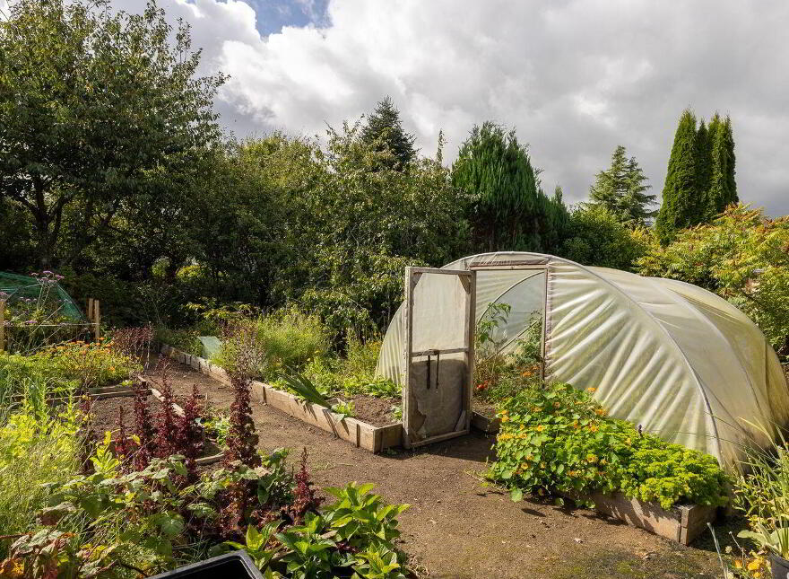 Kingfisher Lodge, Blackhorse, Drinagh, Y35P2C9