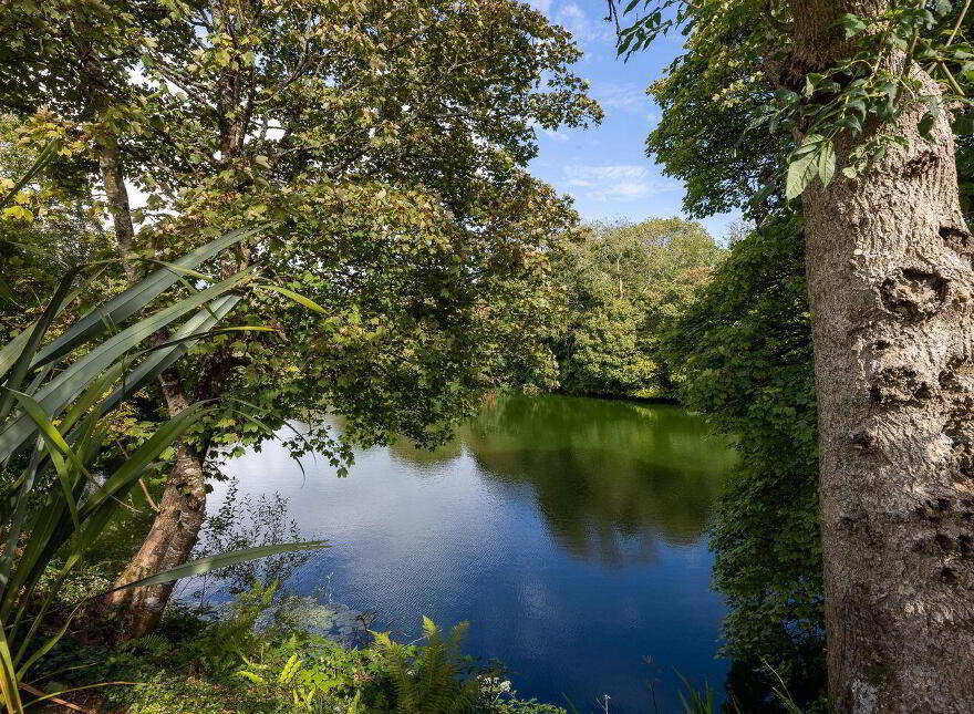Kingfisher Lodge, Blackhorse, Drinagh, Y35P2C9