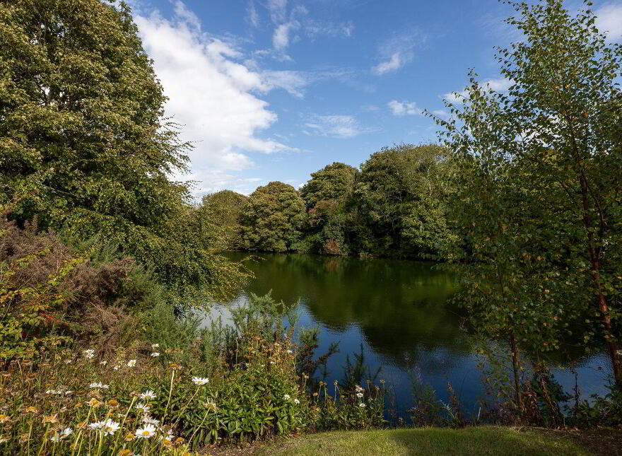 Kingfisher Lodge, Blackhorse, Drinagh, Y35P2C9