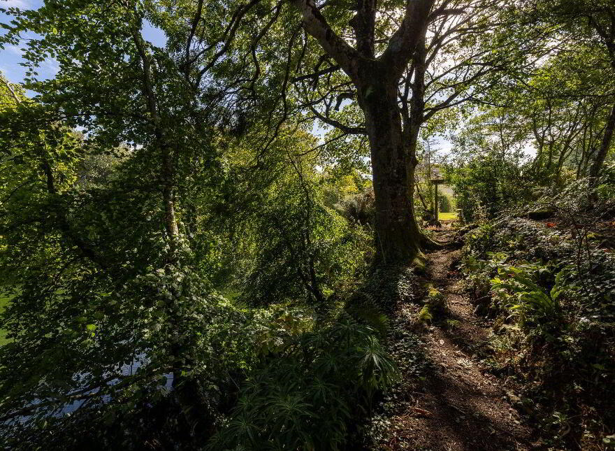 Kingfisher Lodge, Blackhorse, Drinagh, Y35P2C9