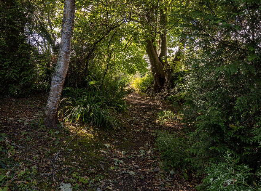 Kingfisher Lodge, Blackhorse, Drinagh, Y35P2C9