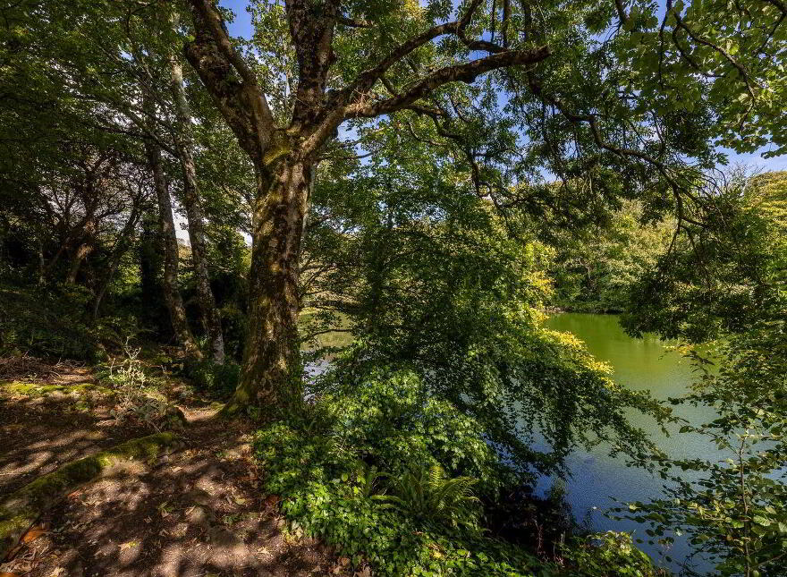 Kingfisher Lodge, Blackhorse, Drinagh, Y35P2C9
