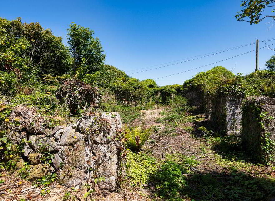 C. 5 Acres At Lane Of Stones, Carne