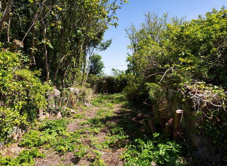 C. 5 Acres At Lane Of Stones, Carne