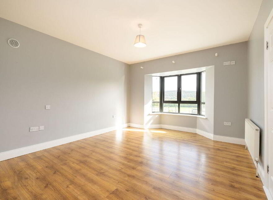Ballyvergin, Adamstown, Y21XE38