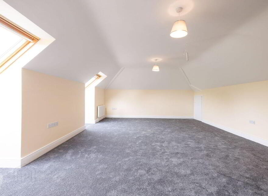 Ballyvergin, Adamstown, Y21XE38
