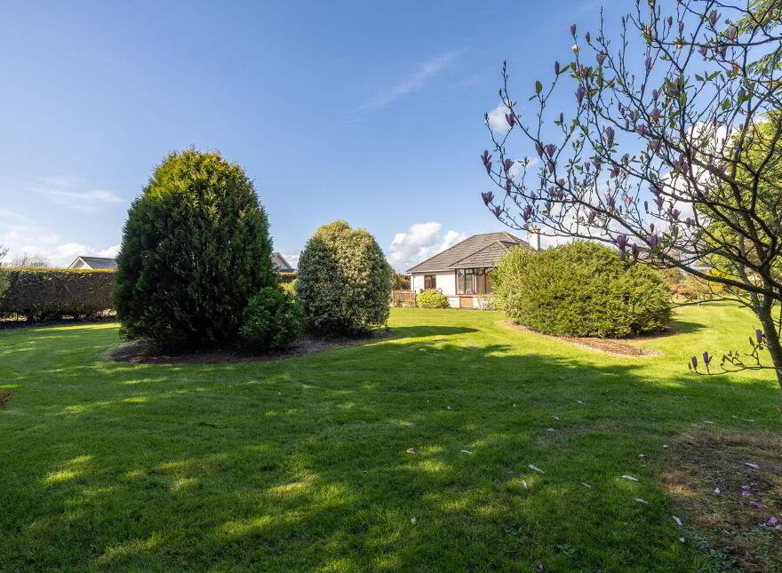The Willows, Sarshill, Kilmore, Y35FK64