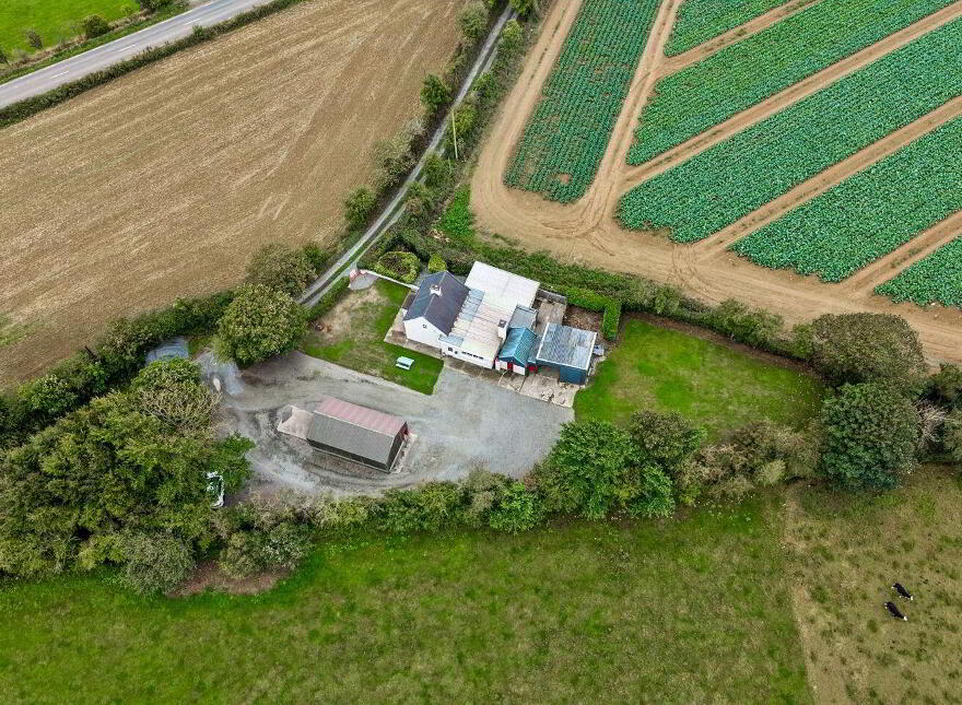 Saint Leonard's, Ballycullane, Y34KP78