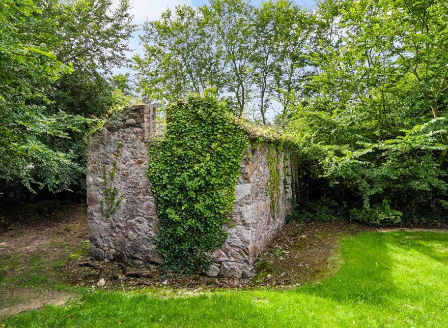 Newcastle, Cleariestown, Y35V218