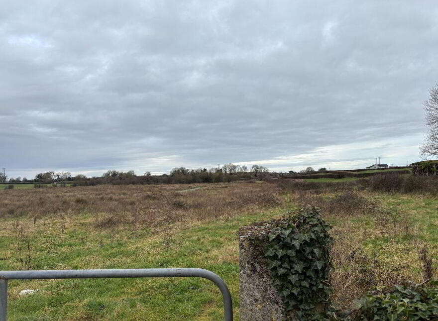 Ballyhomock, Cappagh, Adare photo