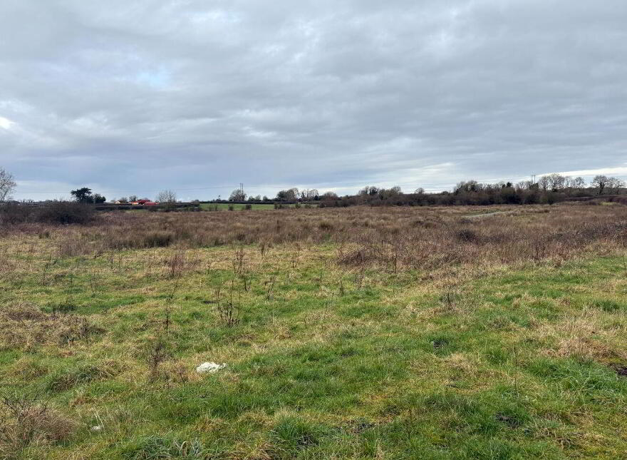 Ballyhomock, Cappagh, Adare