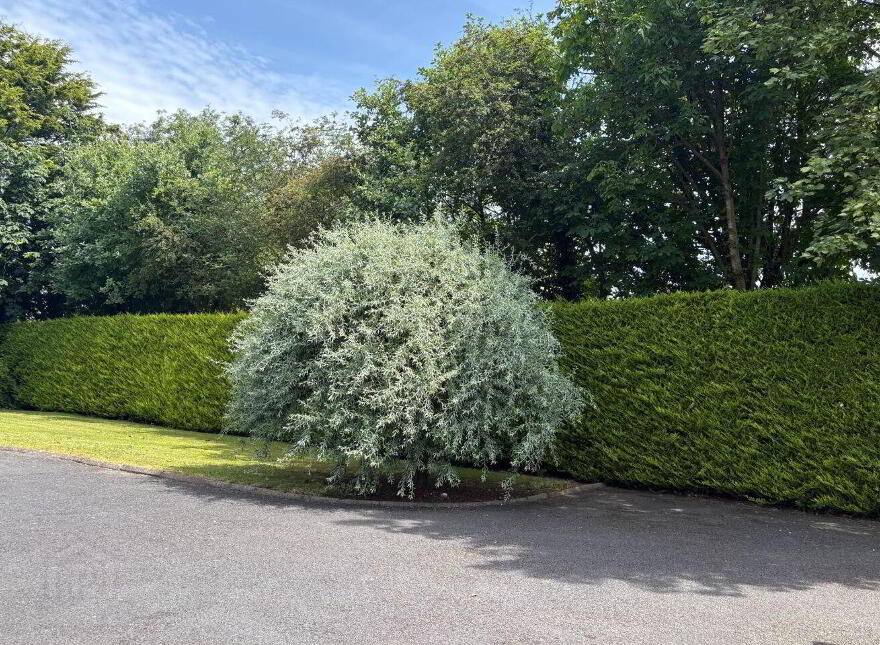 The Grove, Tuogh, Adare, V94P63H