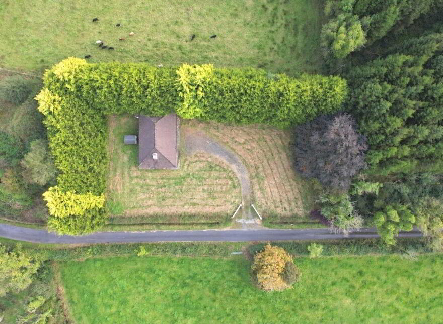 Tyrur, Newbridge, H53XE02
