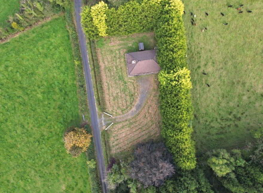 Tyrur, Newbridge, H53XE02