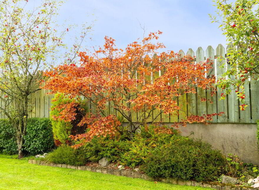 Capella House, Clownings, Corbally, W12DX80