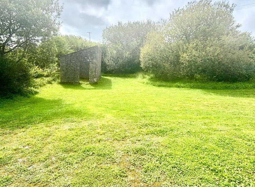 Sarnaught, Castlebar, Burren, F23P187