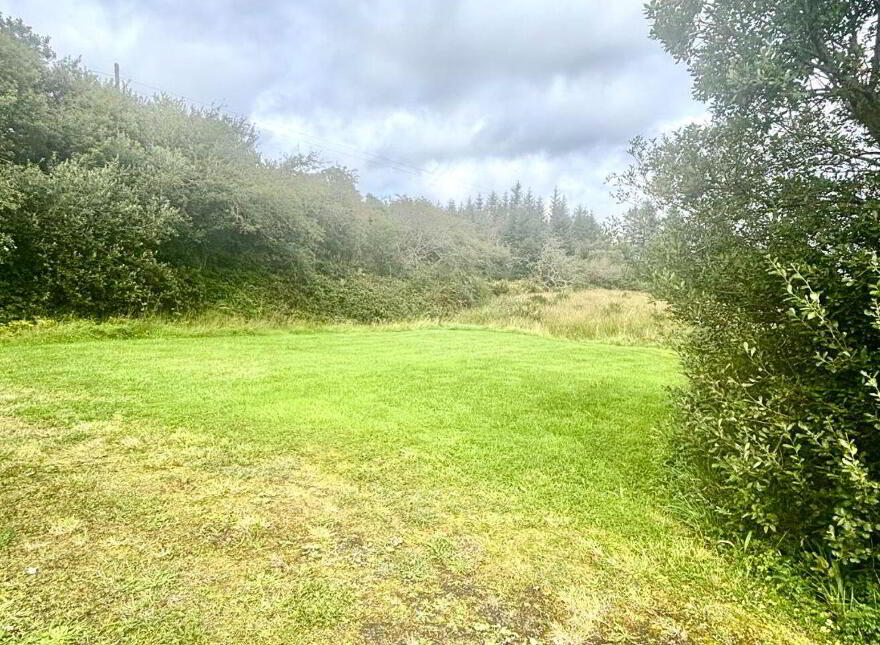 Sarnaught, Castlebar, Burren, F23P187