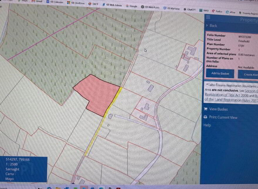 Sarnaught, Castlebar, Burren, F23P187