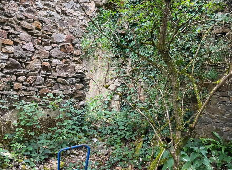 Coolquill, Killenauale, Mardyke