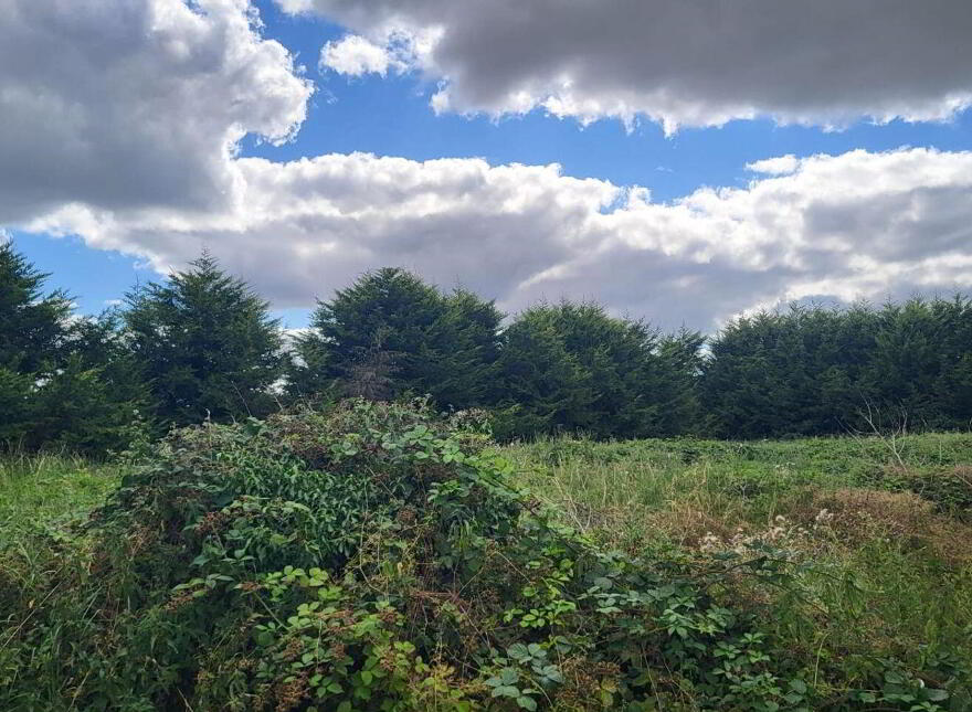 Coolquill, Killenauale, Mardyke