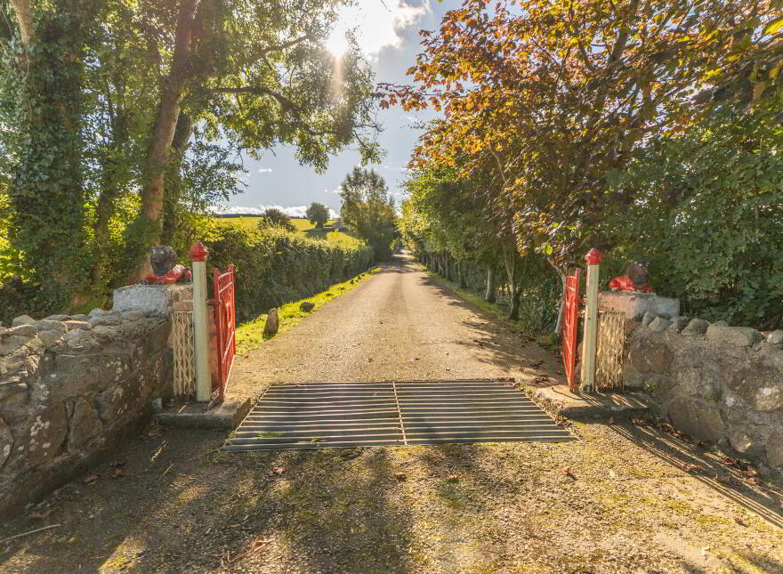 20 McCartans Road, Castlewellan, BT31 9BE