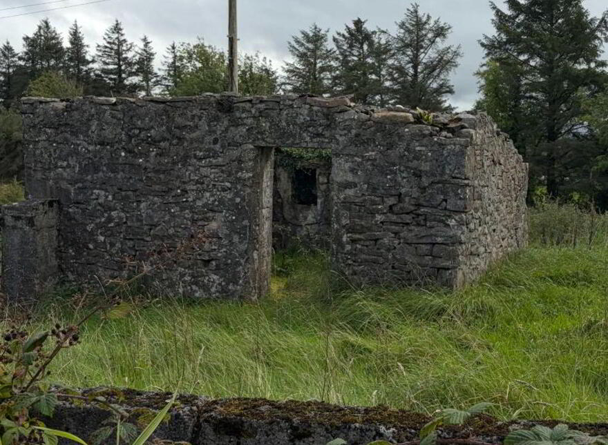 Carha, Islandeady, Glenisland, F23D290
