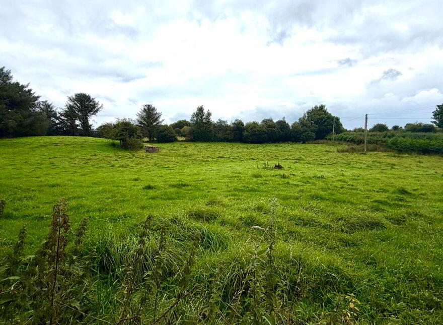 Carha, Islandeady, Glenisland, F23D290