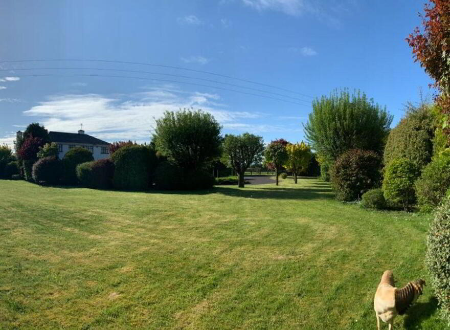 Glenbrack, Galway Road, Gort, H91PX8C