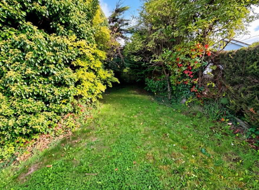 'The Forge' On, C. 1.3 Acres With Development Potential, Main Street, Donard, W91W2P6