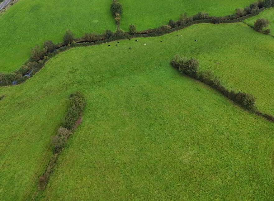 35 Acre Farm Land, Shannaragh Road, Dromore, BT78 3EJ