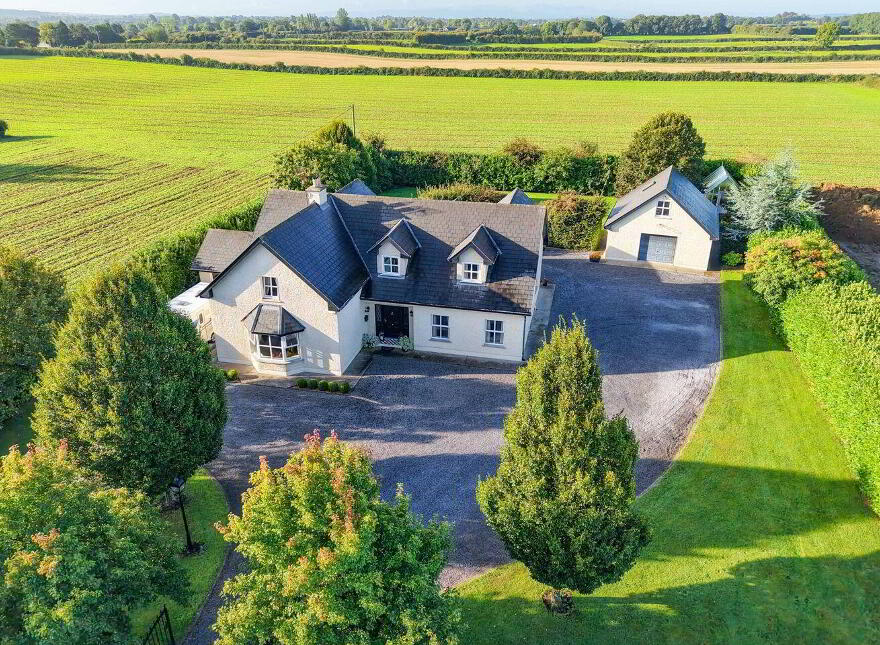 Brown's Lane, Beakstown, Thurles, E41N2C3