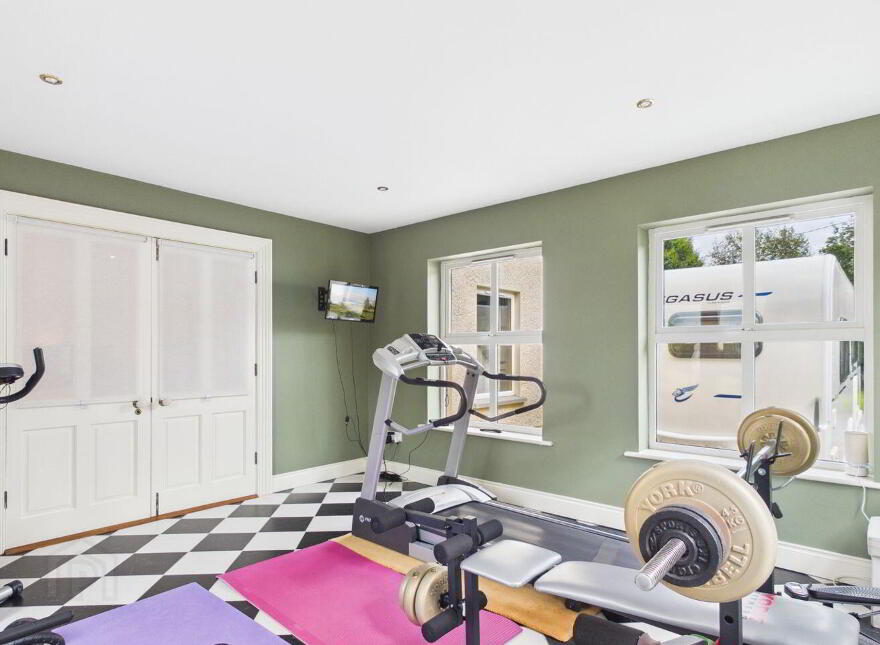 Brown's Lane, Beakstown, Thurles, E41N2C3