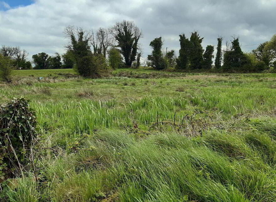 Castlegaddery, Ballynacarrigy