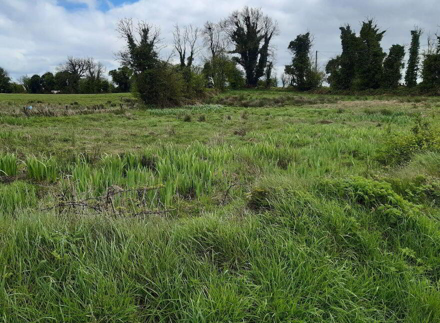 Castlegaddery, Ballynacarrigy