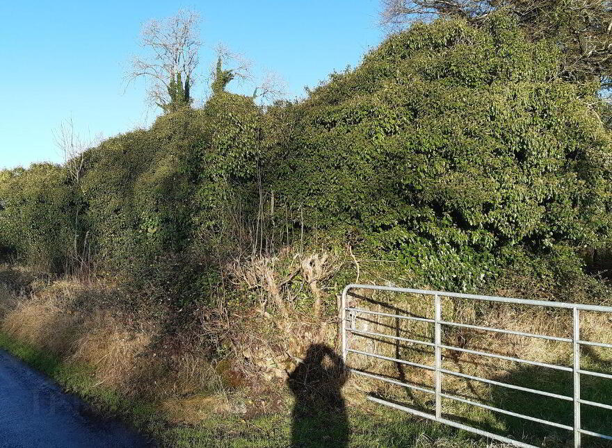 The Island, Keenagh