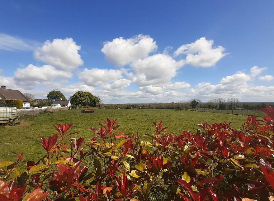 The Village, Newtowncashel, Newtowncashel